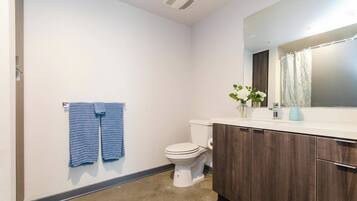 Hair dryer, towels, soap, toilet paper