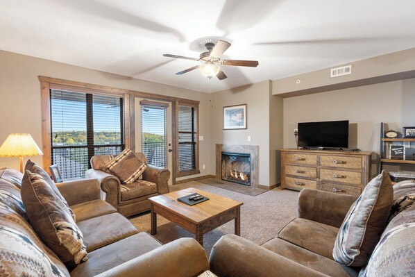 智能电视、壁炉、DVD 播放器