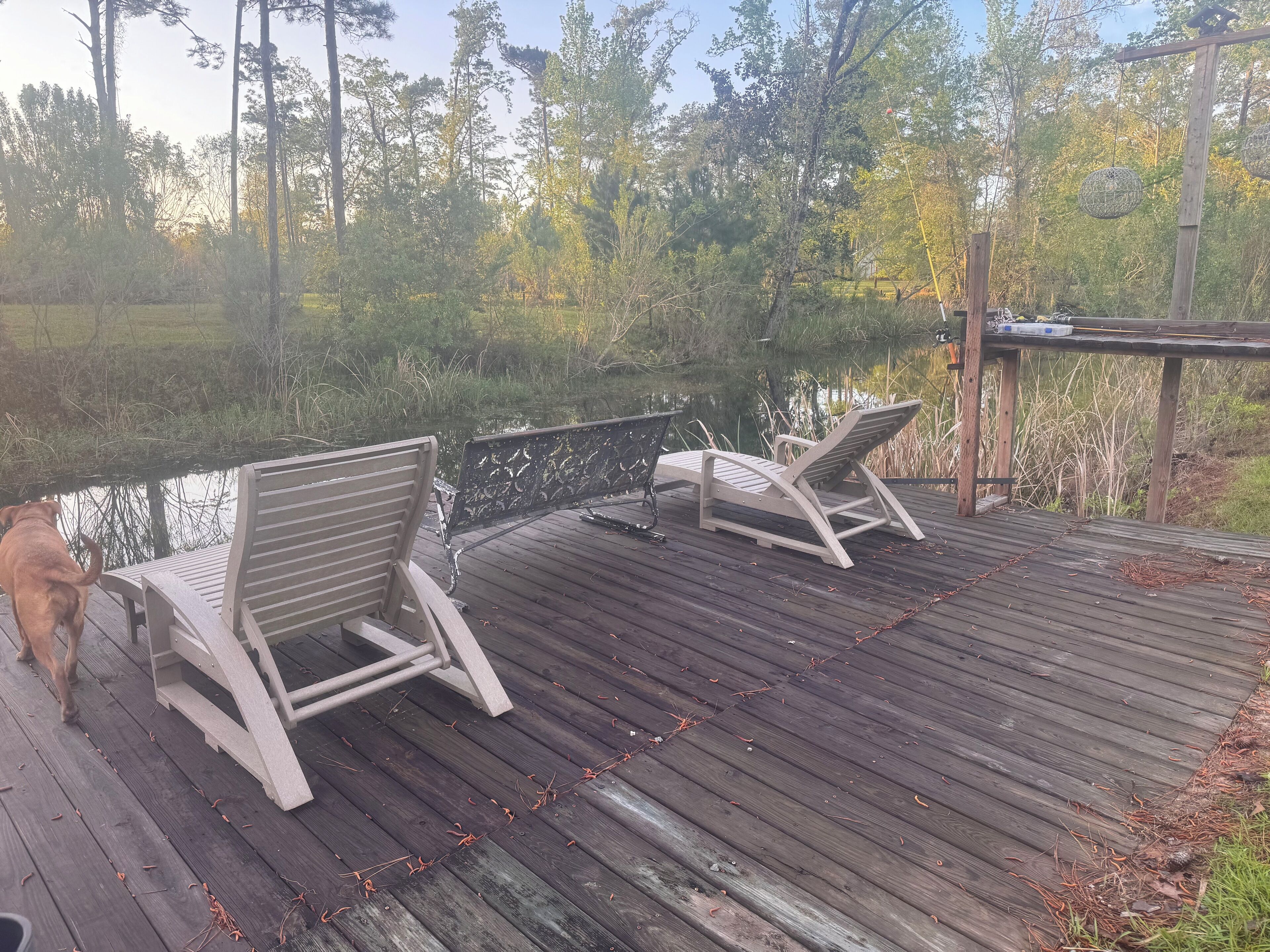 Áreas de la propiedad