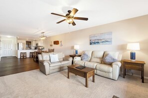 智能电视、壁炉、DVD 播放器