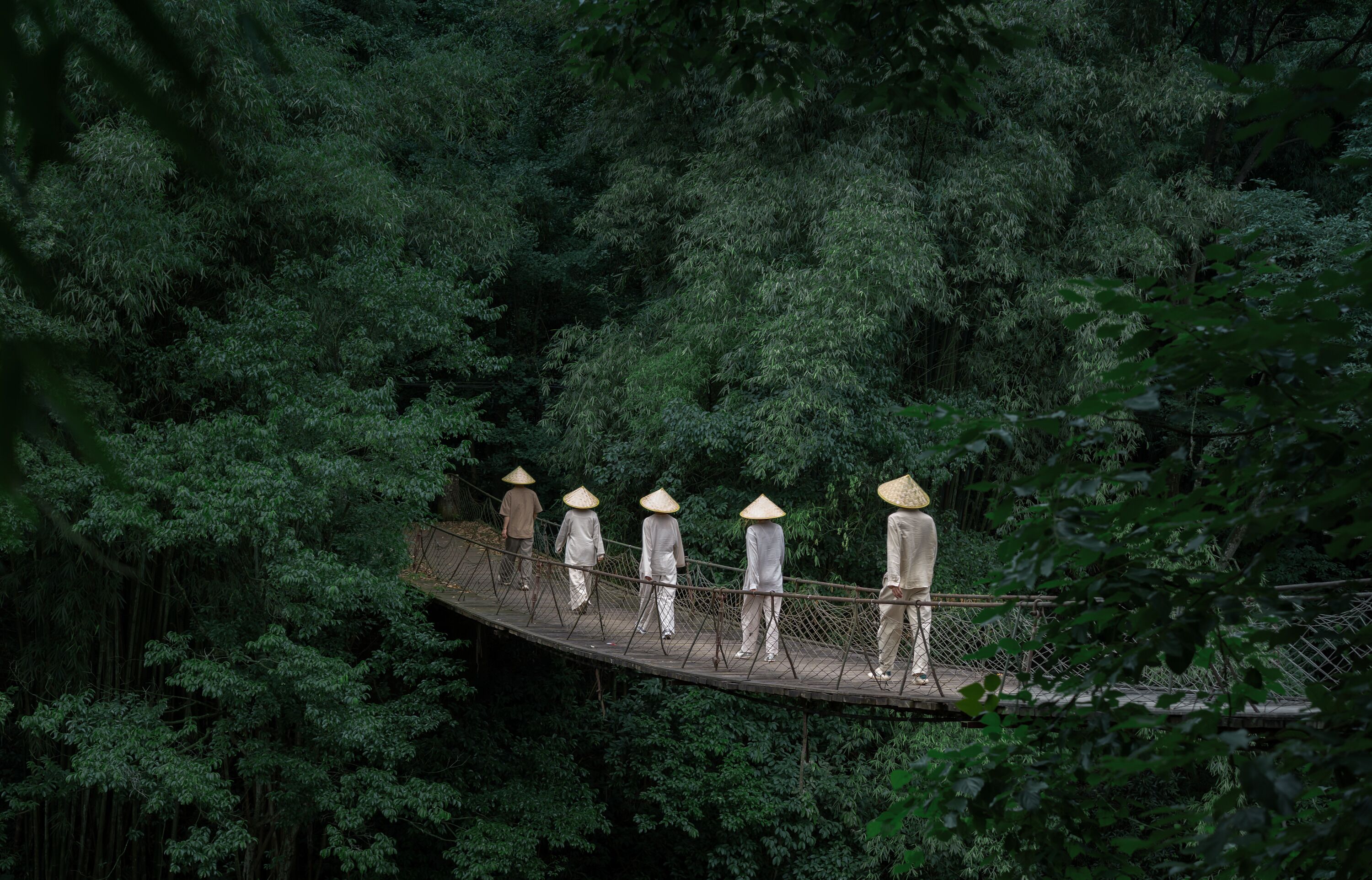 A suspension bridge with people walking across it, surrounded by dense forest.