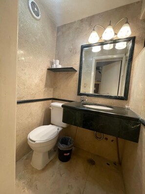 Shower, soap, toilet paper - HOTEL MARIA CRISTINA (San Luis Potosí)