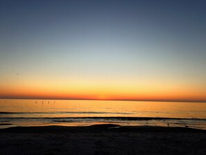 ビーチ