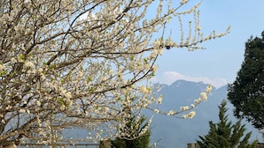 Pemandangan dari hartanah