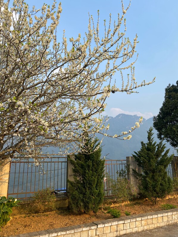 Vista desde la propiedad