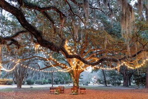 Property grounds - 40 % OFF SEPT! ~ AC! ~ Hobson House ~ 15min to Downtown ~ Game Room ~ Fire Pit (North Charleston)