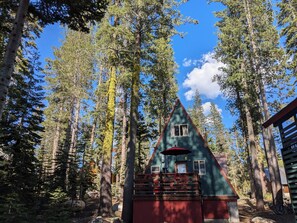 Exterior - Vintage A-frame in peaceful montane setting, dog friendly, trails and lake (Soda Springs)