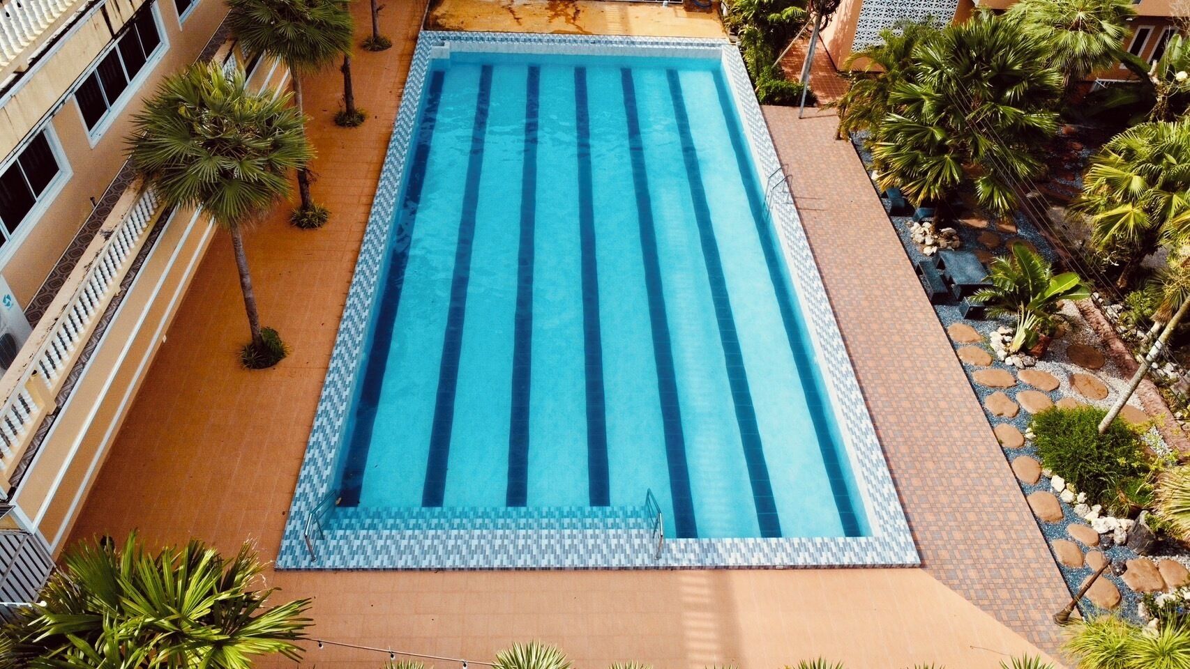 A rectangular swimming pool with multiple lanes, surrounded by palm trees and a tiled walkway.