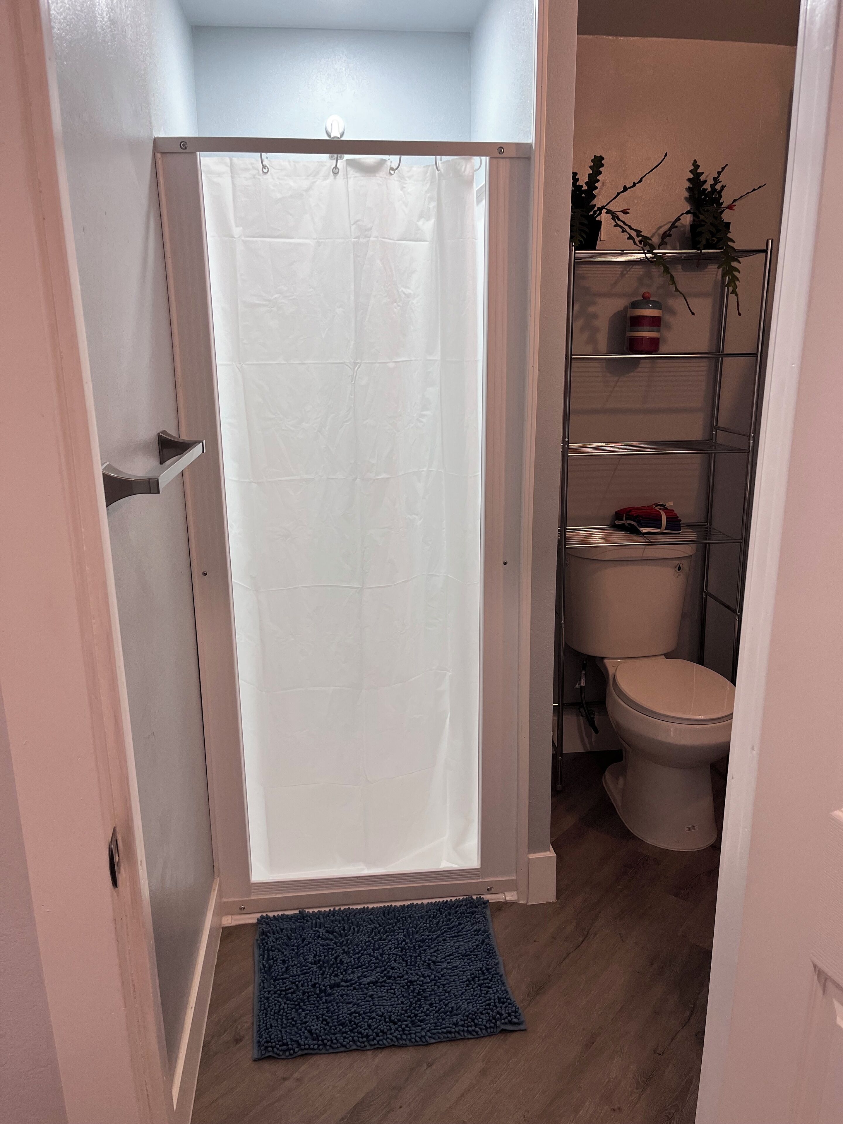 A bathroom with a shower curtain, a toilet, a shelf with plants, and a blue rug.