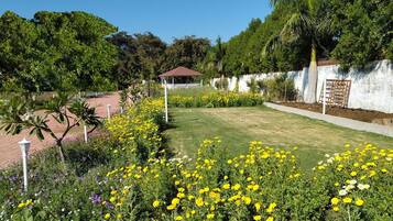 Terrein van de accommodatie