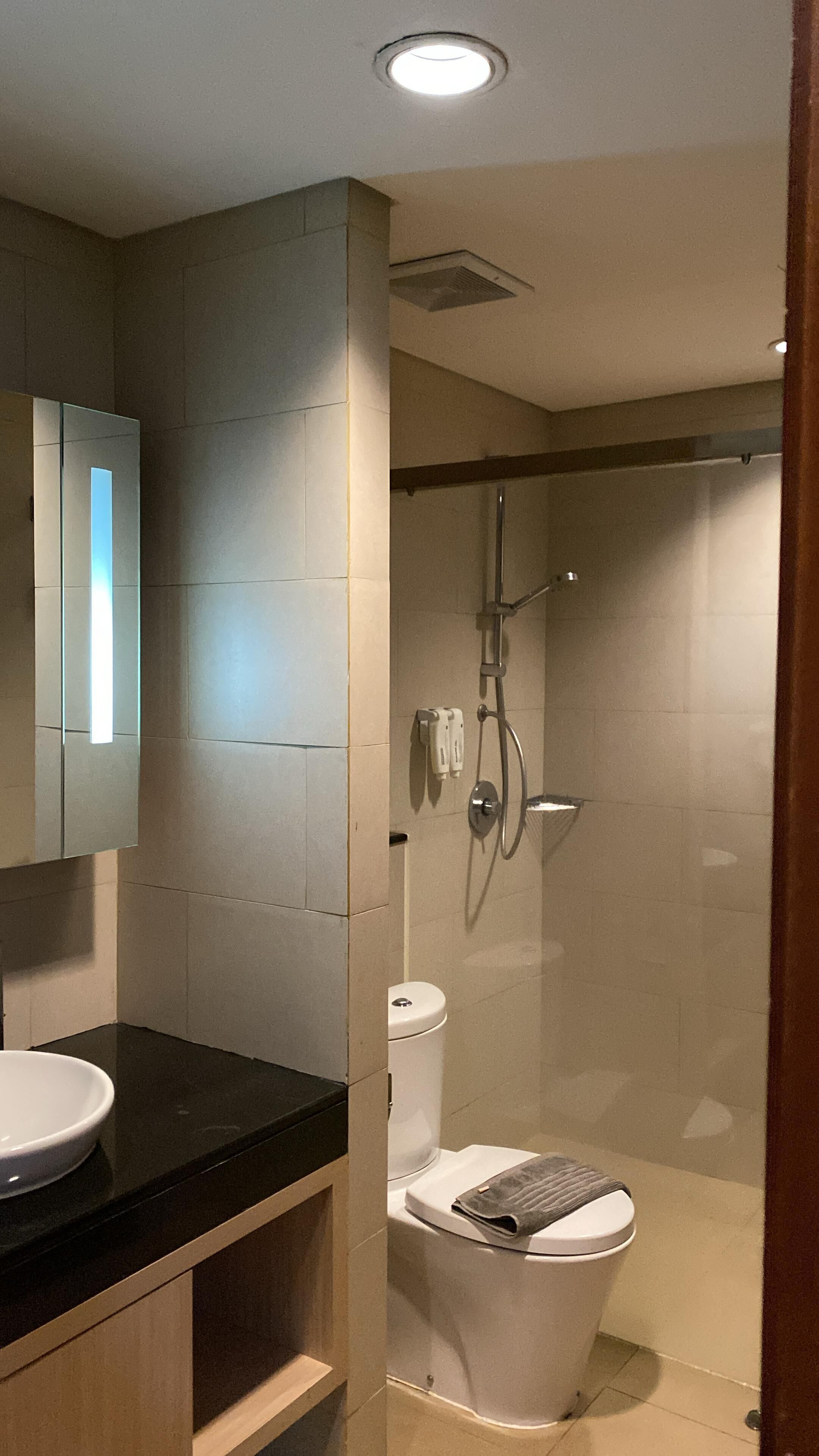A modern bathroom with a toilet, a sink, a shower, and a mirror.