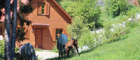 Aussenbereich