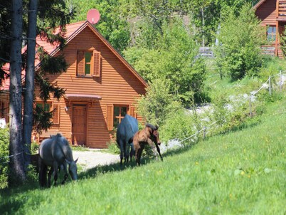 Chalet on an estate near the Carinthian lakes