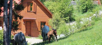 Chalet on an estate near the Carinthian lakes