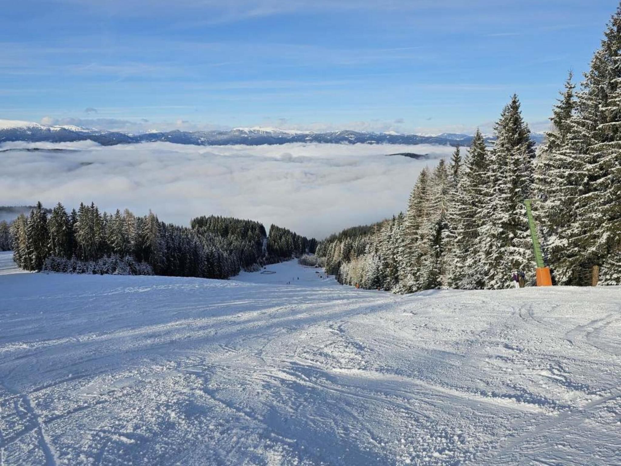 Een besneeerd landschap met heldere lucht, een bebost gebied en een piste.