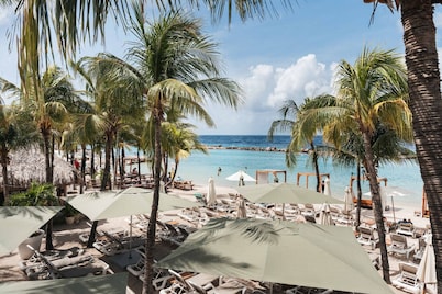 1BR LUX Beachfront Stay ONE Mambo 14 by Bocobay