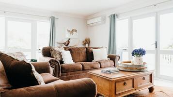 Smart TV y chimenea