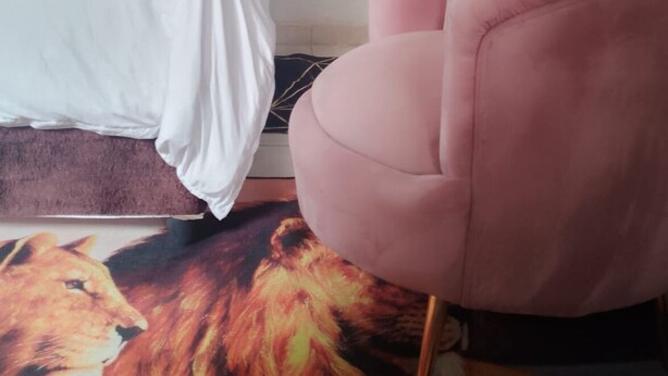 A bedroom with a bed, a green pillow, a pink armchair, and a lion print rug. - 0688429688 Guesthouse in Mafikeng  (Mahikeng)