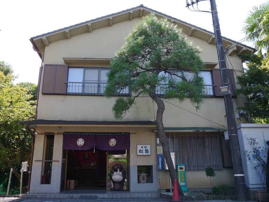A two-story building with a traditional Japanese architectural style, featuring a large tree in front.