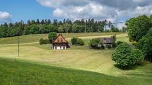 A rural landscape with a house surrounded by green fields and trees. - Apartment 'Talblick' with Mountain View, Private Terrace and Wi-Fi (Wolfach)
