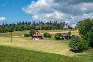 Golf - Apartment 'Talblick' with Mountain View, Private Terrace and Wi-Fi (Wolfach)