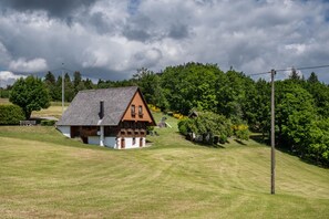 A house with a sloped roof, a small porch, and a grassy yard. - Apartment 'Fuchsbau' with Mountain View, Private Terrace and Wi-Fi (Wolfach)