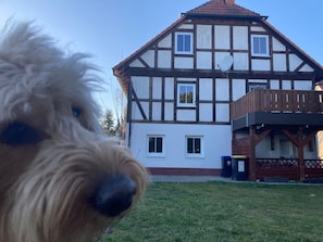 A dog in the foreground with a house in the background. - Apartment 'Wie Zu Hause' with Shared Garden and Wi-Fi (Ostritz)