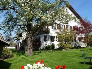 Un bâtiment à deux étages avec une façade blanche, un grand arbre au premier plan et une pelouse bien entretenue.