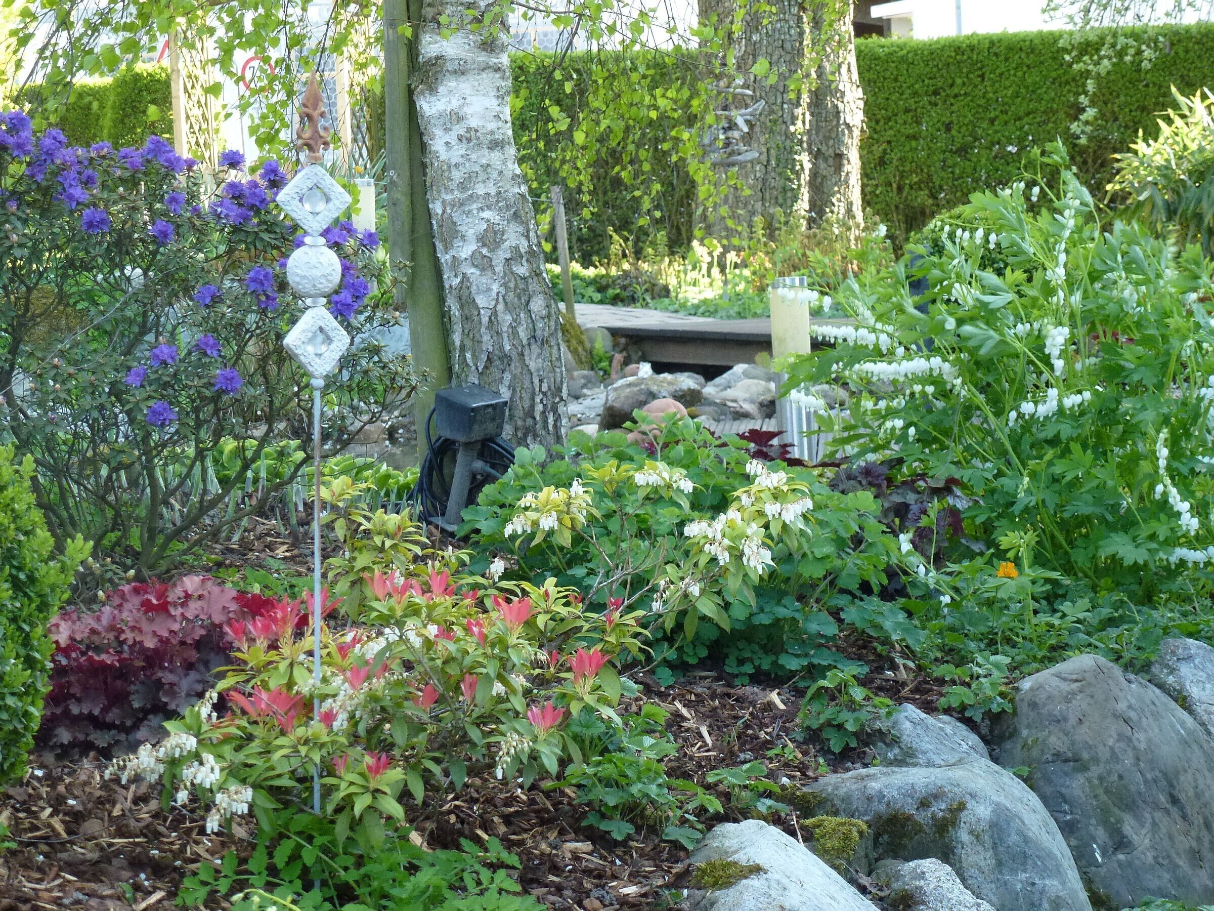 A garden with various plants and a wooden structure.