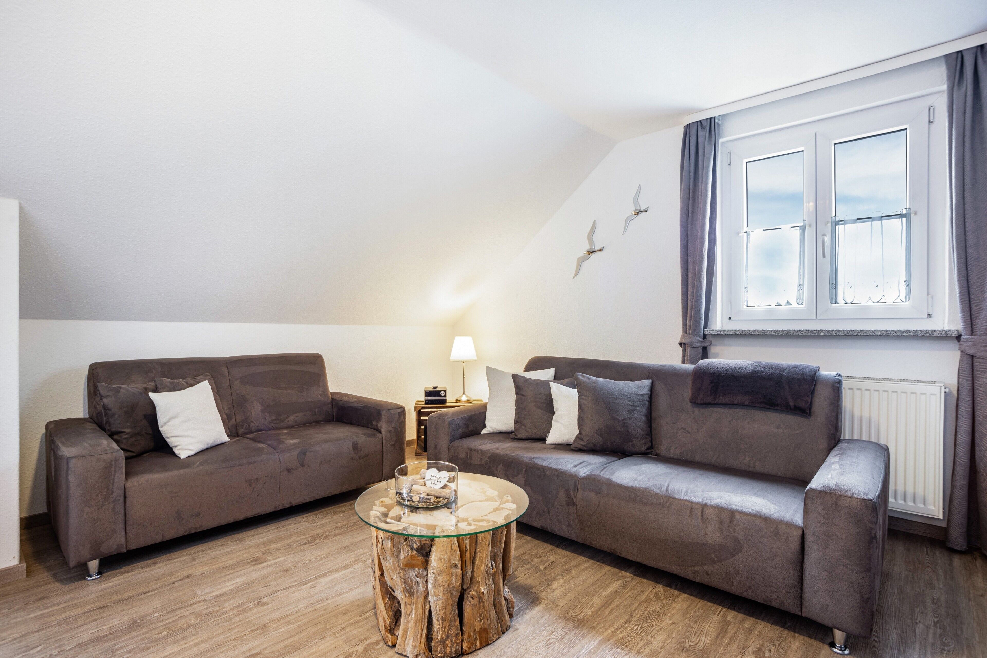 Télévision, table de tennis de table