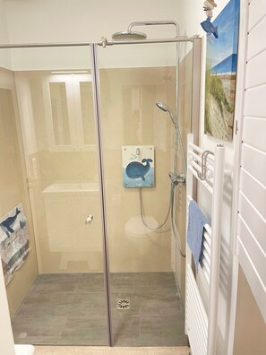 Douche, sèche-cheveux, serviettes fournies