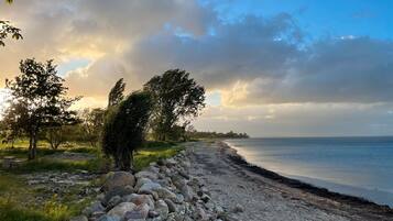 Playa en los alrededores