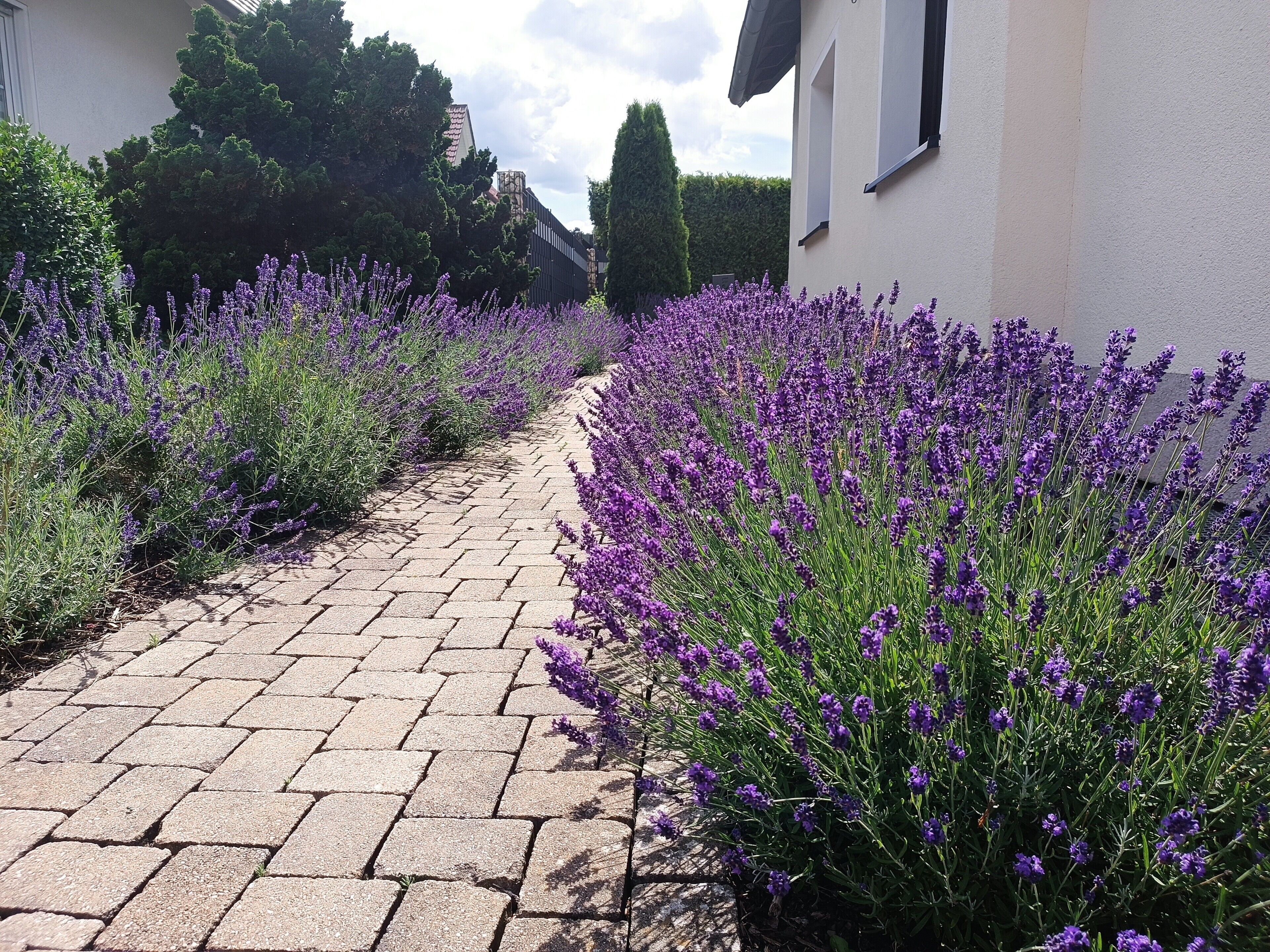 Área da propriedade