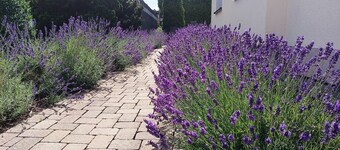 Holiday Apartment 'Sonnenblick Und Relax' with Private Terrace, Shared Garden and Wi-Fi