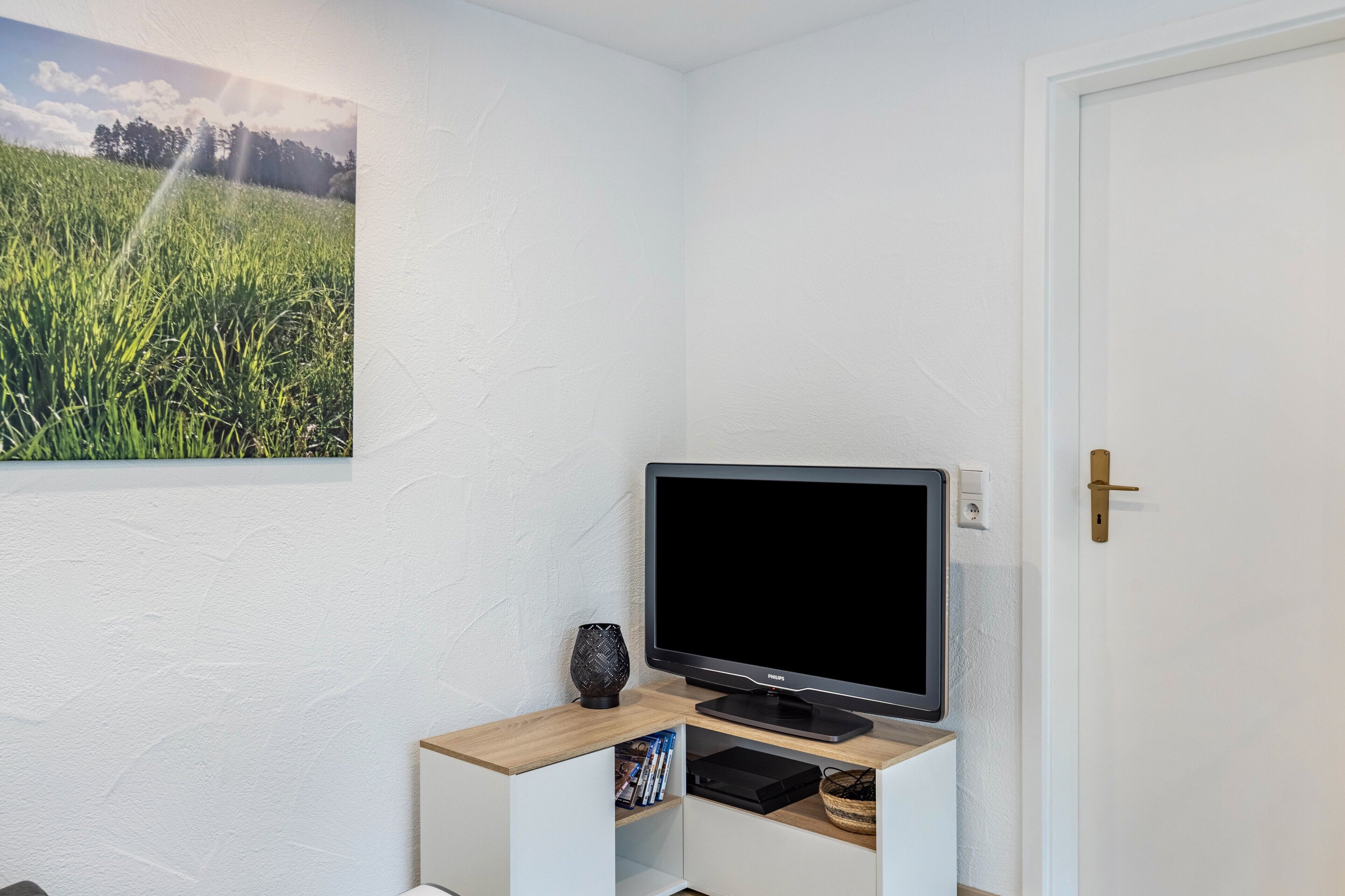A room with a television on a white cabinet, a door, and a wall-mounted picture of a field.