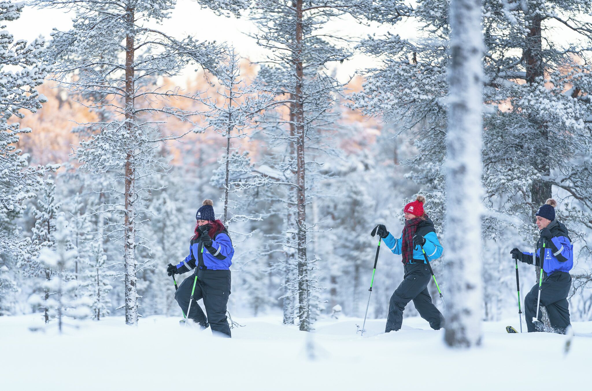 A snowy forest scene with three people cross-country skiing.