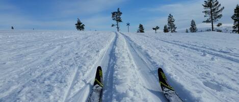 A snowy ski trail with trees and a clear sky.