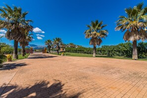 Stroll along the palm-lined pathway to a serene outdoor space.