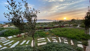 A garden with a variety of plants and a clear view of the sea and mountains in the background.