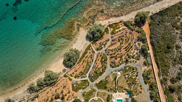 An aerial view of a coastal property with a swimming pool, solar panels, and landscaped gardens.