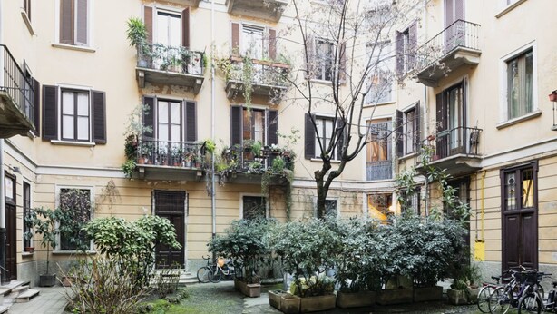 Un patio con plantas en macetas, bicicletas y un árbol.