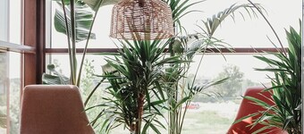 Villa Madrè San Rossore Apartments