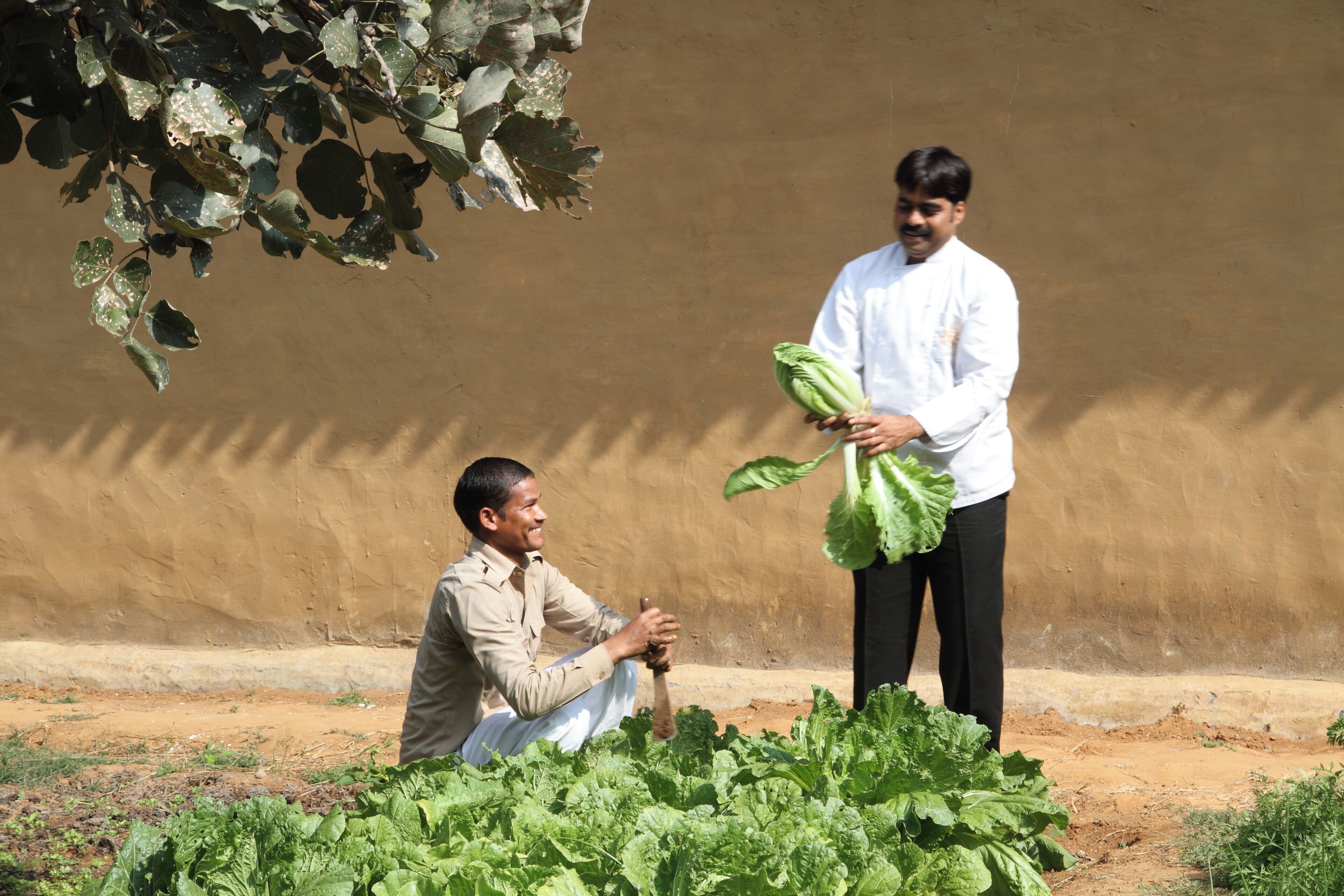 Two individuals in an outdoor setting with a dirt ground and a brown wall in the background.
