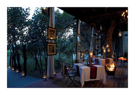 Safári. Samode Safari Lodge