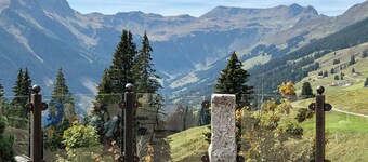 Apartments Living Saalbach