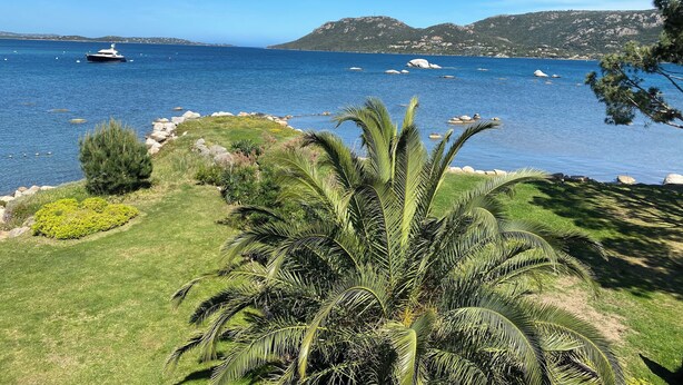 A coastal landscape with a yacht on the water, rocky shoreline, and palm trees. - Waterfront apartment 2/3 pers. Porto-Vecchio (Porto-Vecchio)