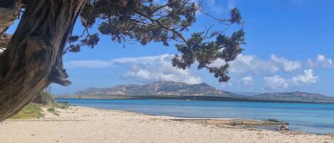 Playa en los alrededores