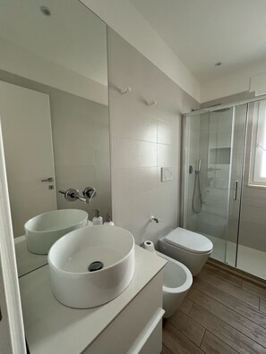 Shower, hair dryer, bidet, towels