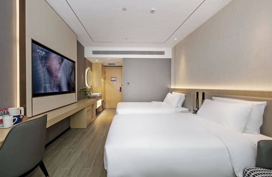Habitación de hotel con dos camas, televisión, escritorio con silla y una mesita con una planta.