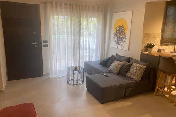 Living room with a sofa bed.